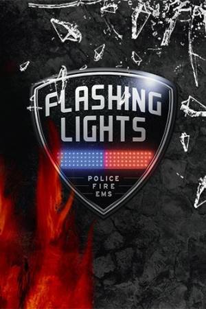 Игра на ПК - Flashing Lights: Police, Firefighting, Emergency Services Simulator (15 мая 2023)